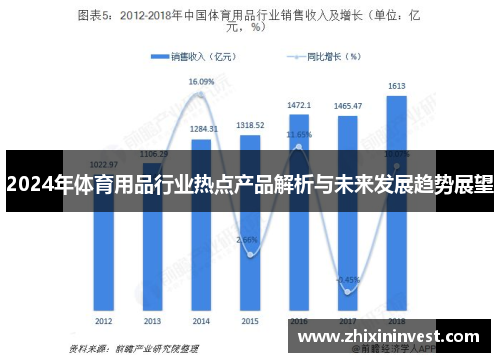 2024年体育用品行业热点产品解析与未来发展趋势展望